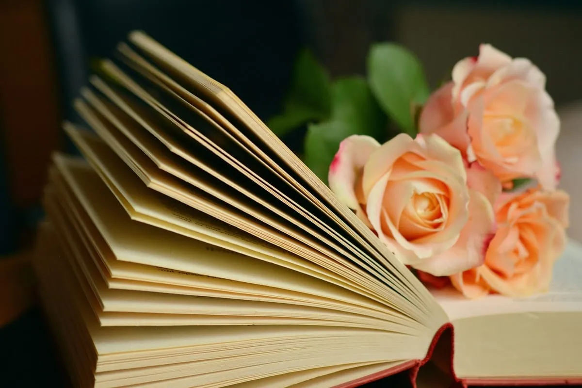 İkinci El Kitap Alınır Ankara